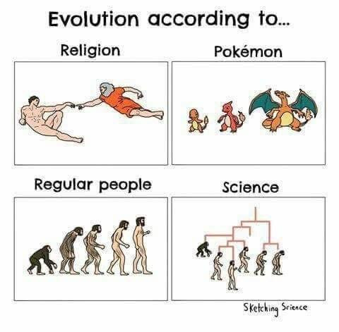 evolucia